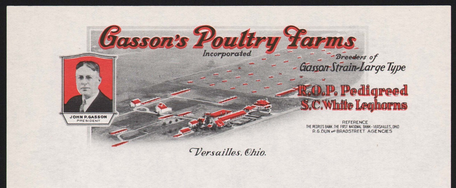 Vintage letterhead GASSONS POULTRY FARMS Leghorns farm pic Versailles Ohio nrmt+