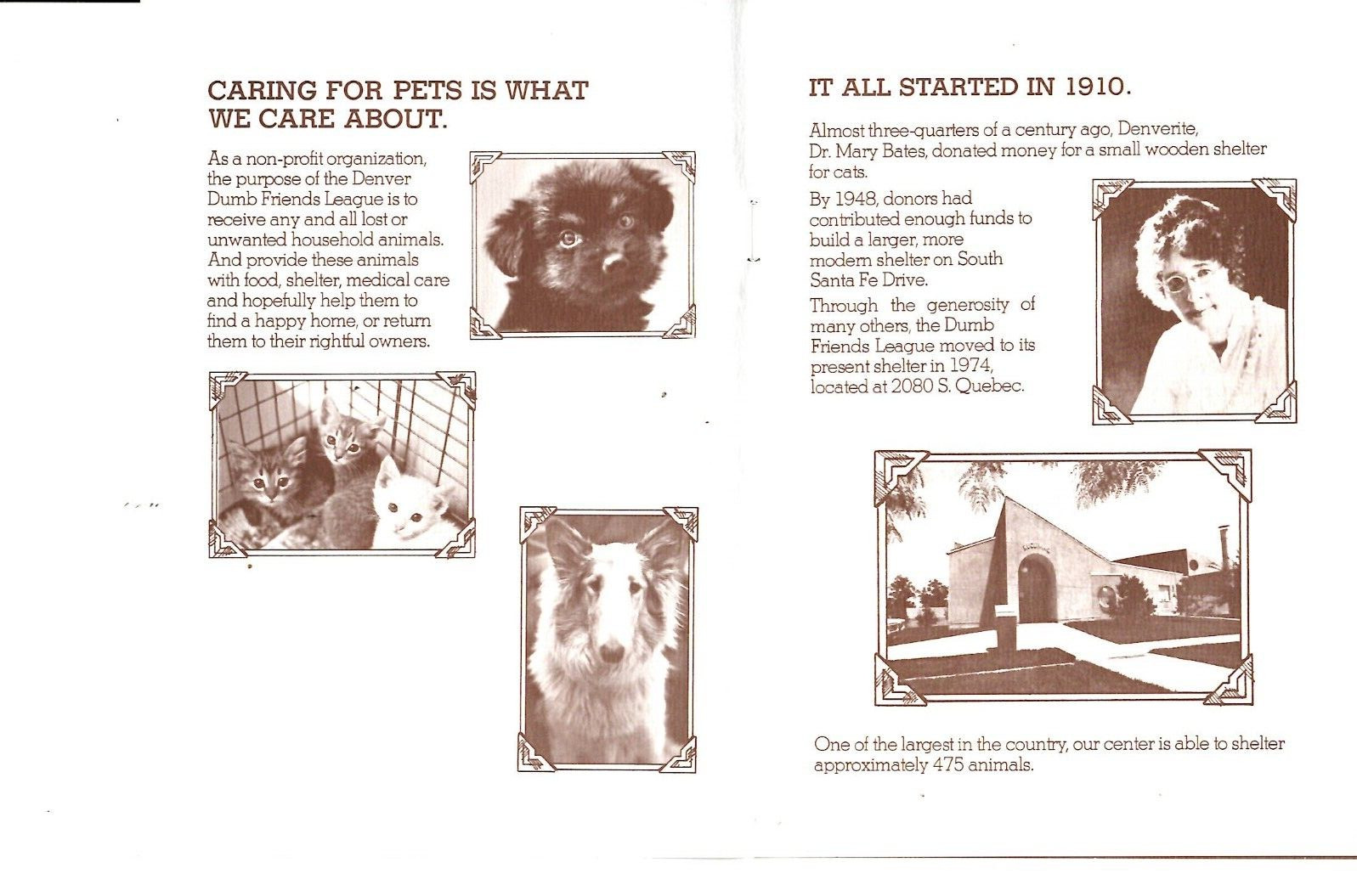 Adopt a Friend for Life The Denver Dumb Friends League Brochure 1977 Colorado