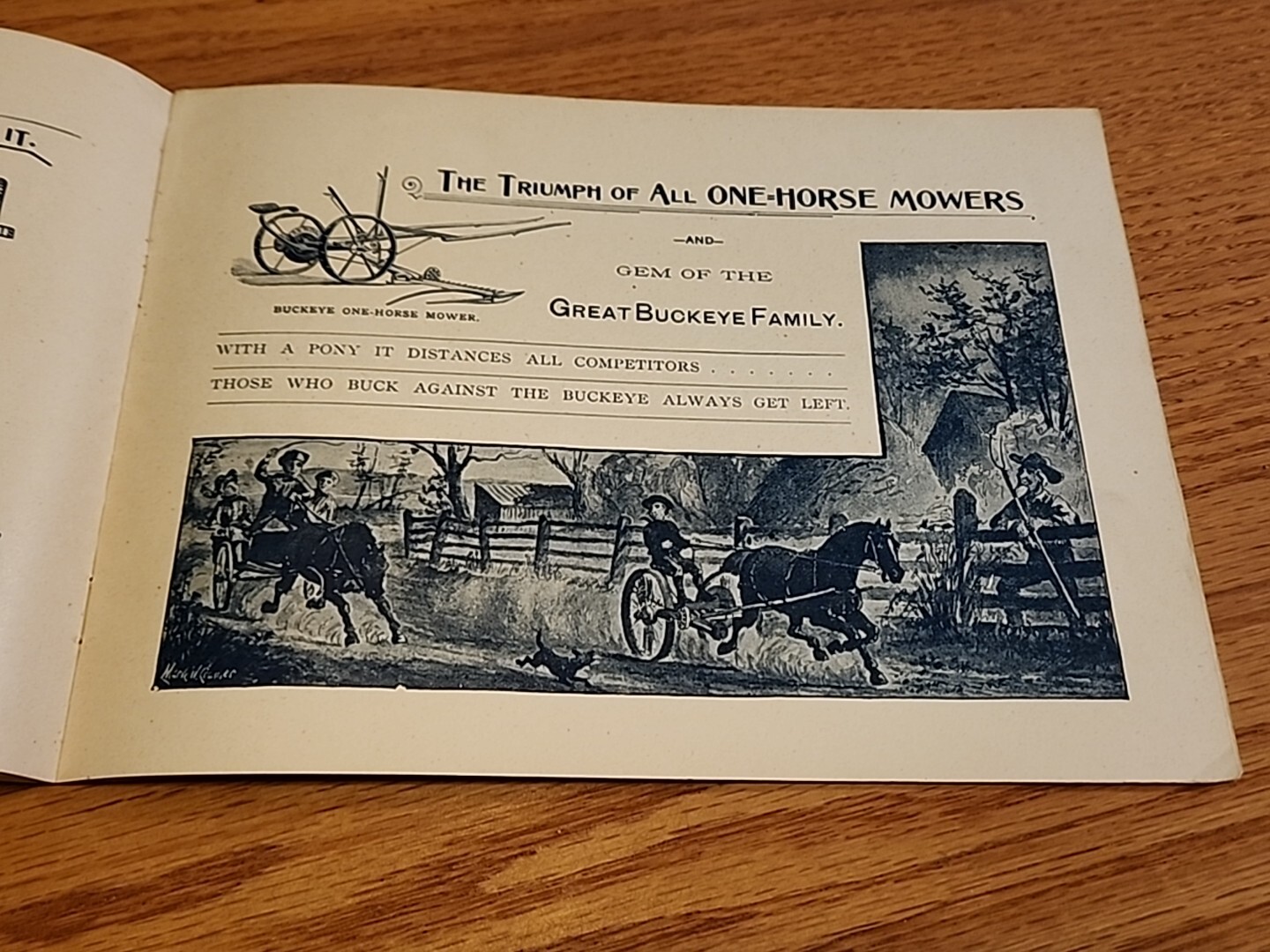 1891 Buckeye Harvesting Machines Aultman Miller Co Catalog Farm Implements