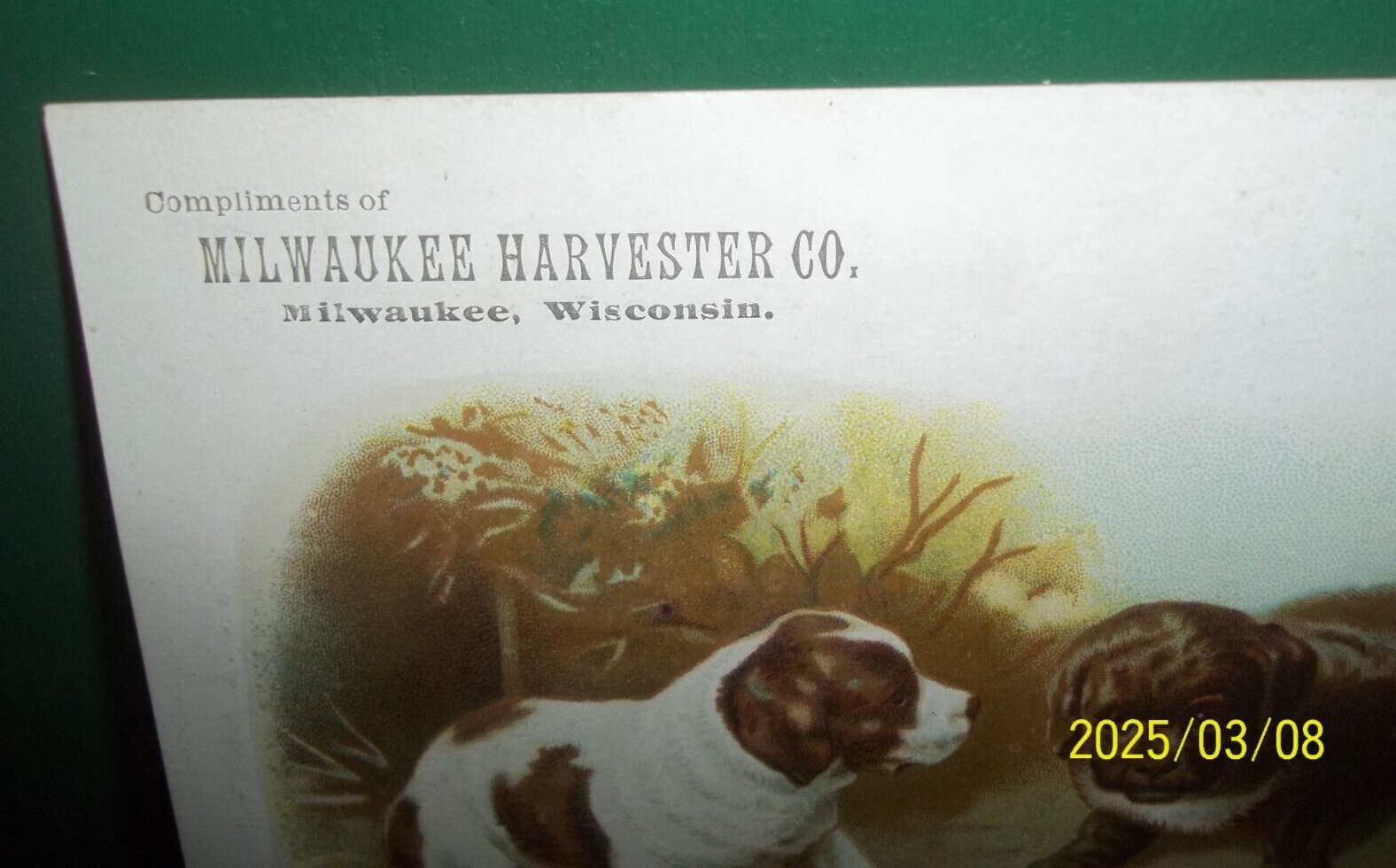 Antique Advertising Milwaukee Harvester Co with Saint Bernard Puppy