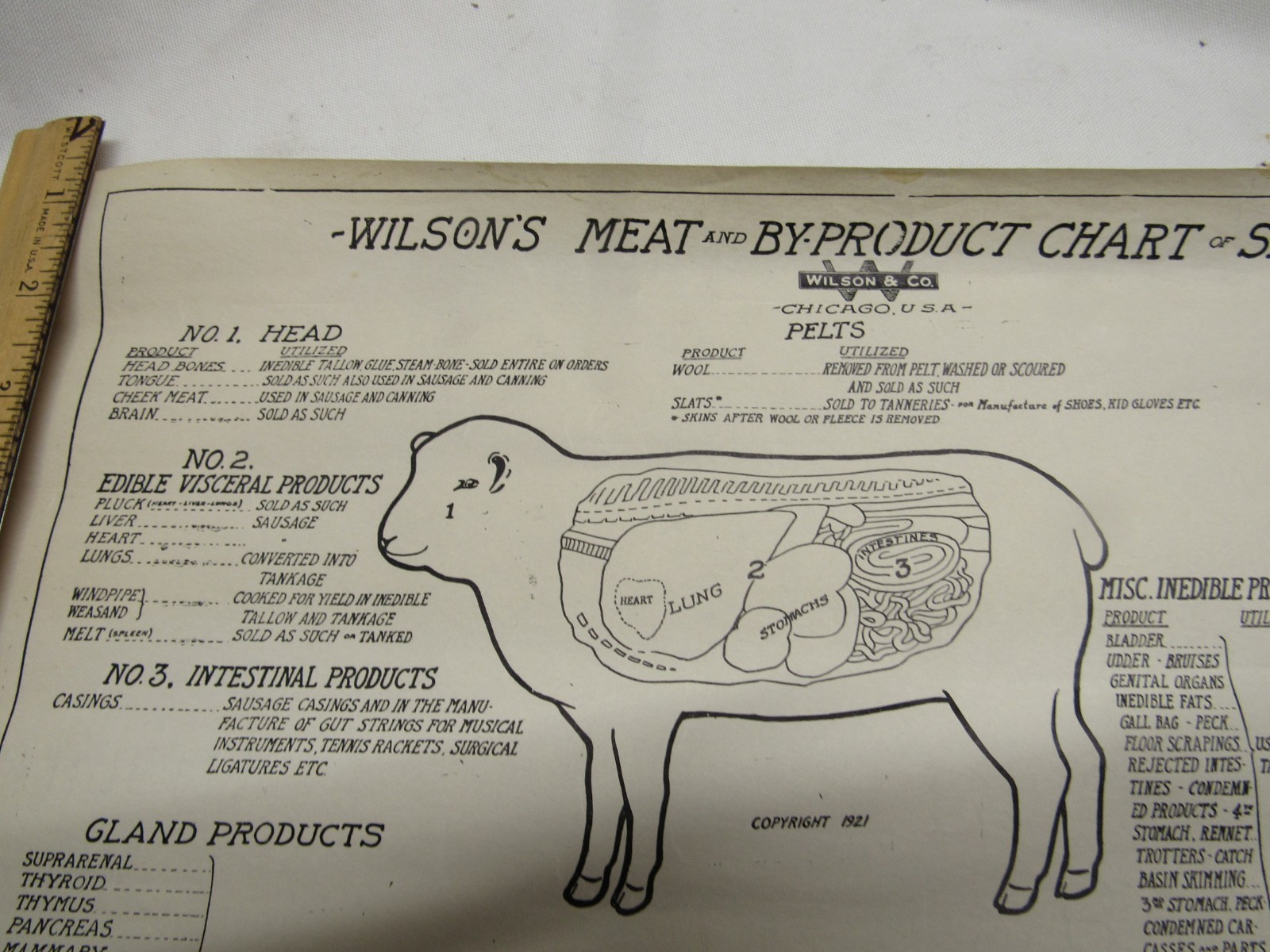 1921 WILSON SHEEP BYPRODUCT PORK CUTS CHICAGO BUTCHER PACKINGHOUSE POSTER VISUAL