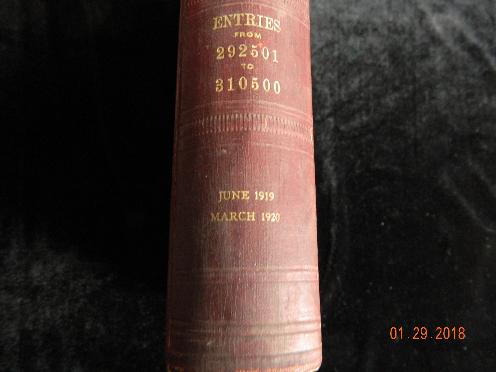 American Aberdeen-Angus Herd Book Vol 31 Original Hardcover RARE VINTAGE 1919