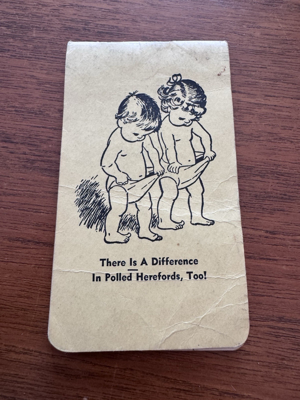 Vintage There Is A Difference Polled Herefords 1958 Farm Animal Kentucky Book