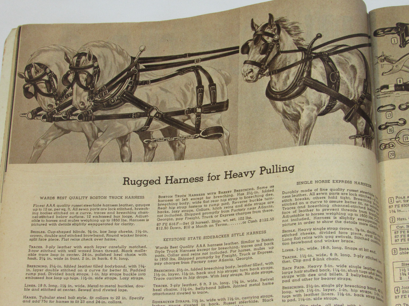 VTG 1953 MONTGOMERY WARD FARM CATALOG! HORSE DRAWN EQ/TOOLS/BEE KEEPING/CHICKENS
