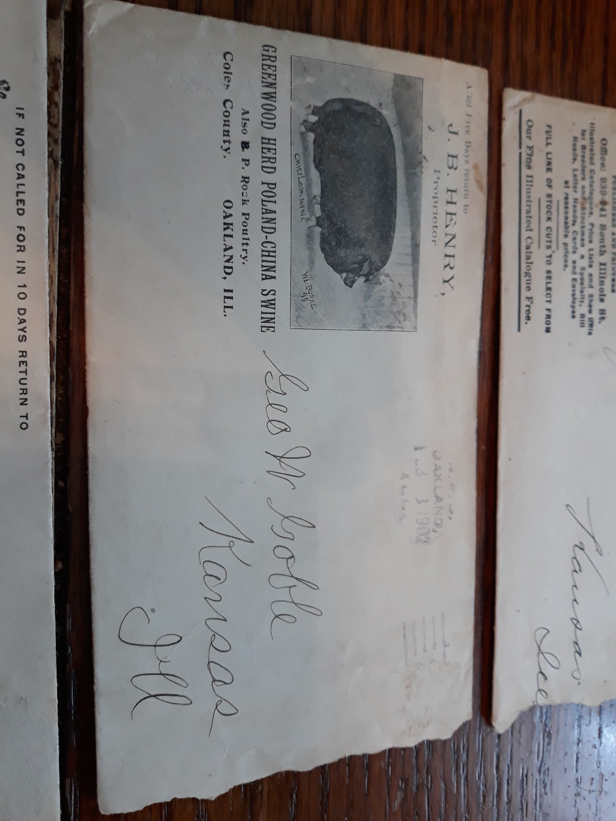 3 vintage 1900 era ENVELOPES-poland china swine-swine journal-rural world