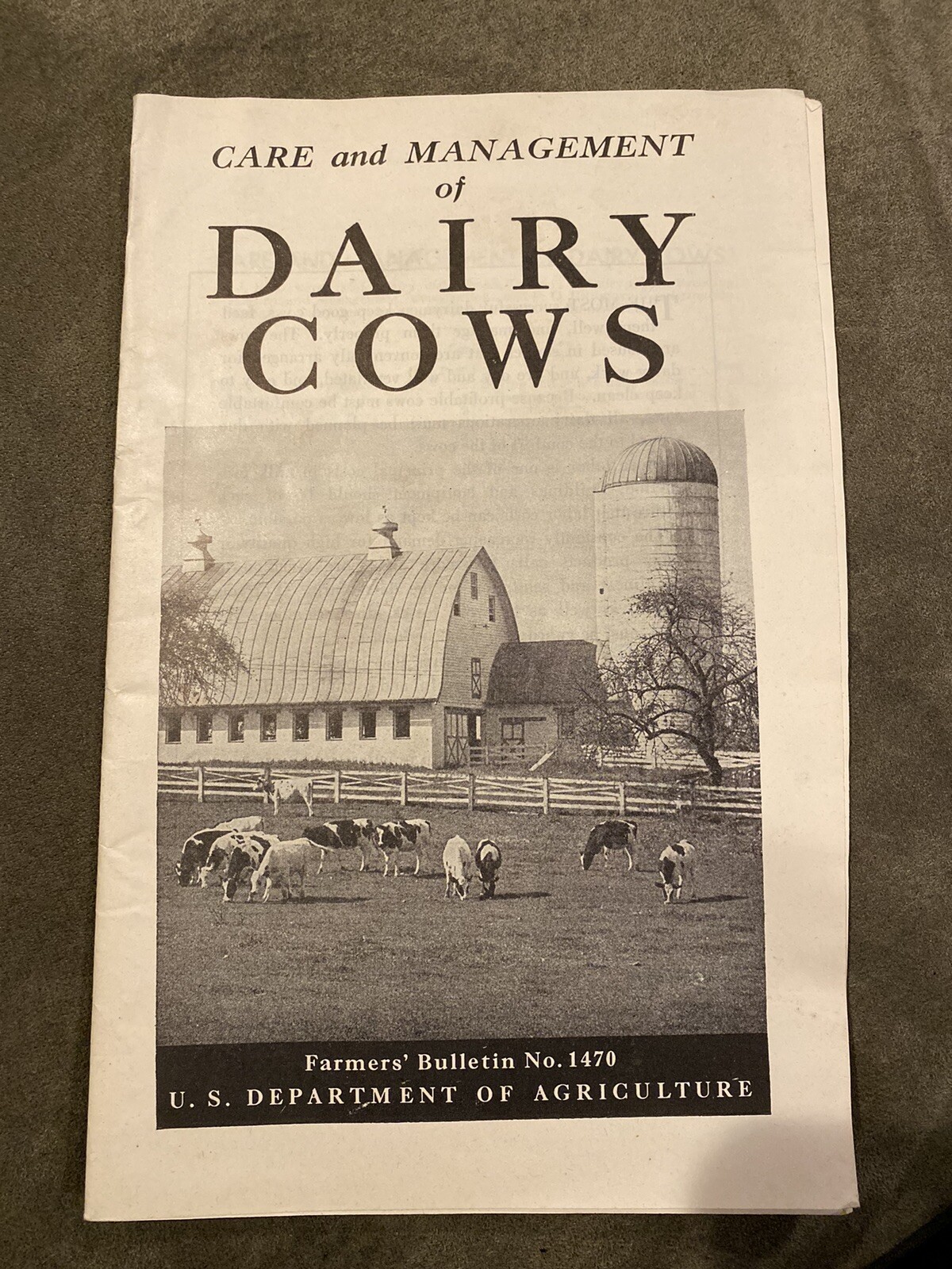 US Department Of Agriculture Care And Maintenance Of Dairy Cows 1949
