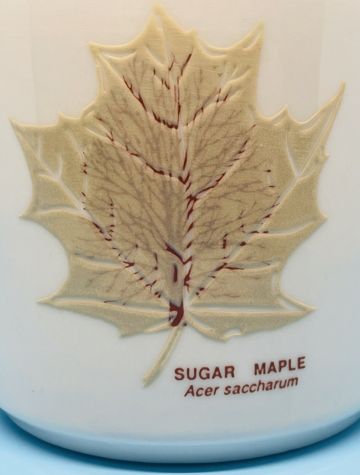 Audubon Naturalist Society Mug Raised Leaves Leaf Identification