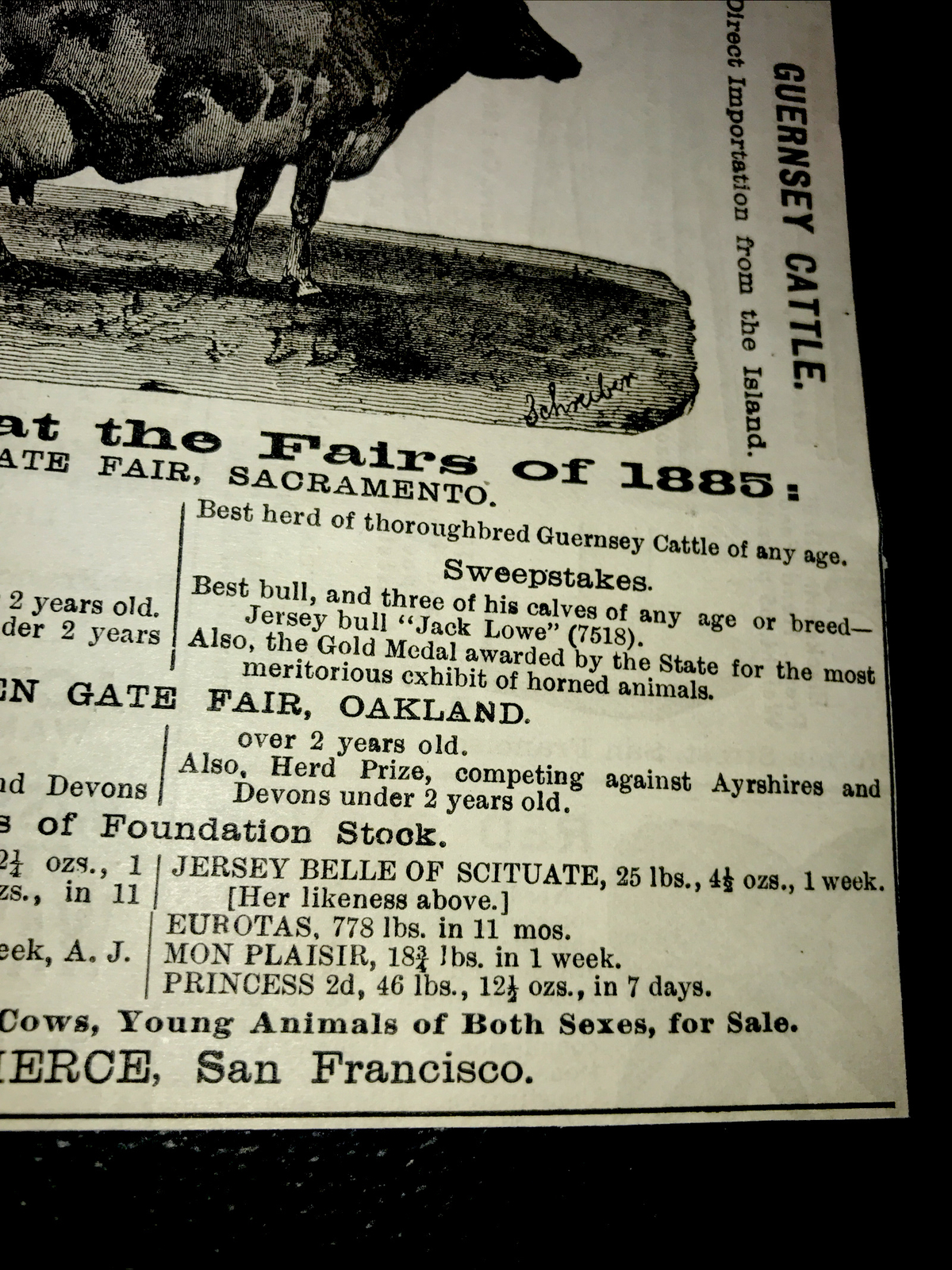 1886 Yerba Buena Jersey Cattle Cow Farm Advertising – San Francisco California