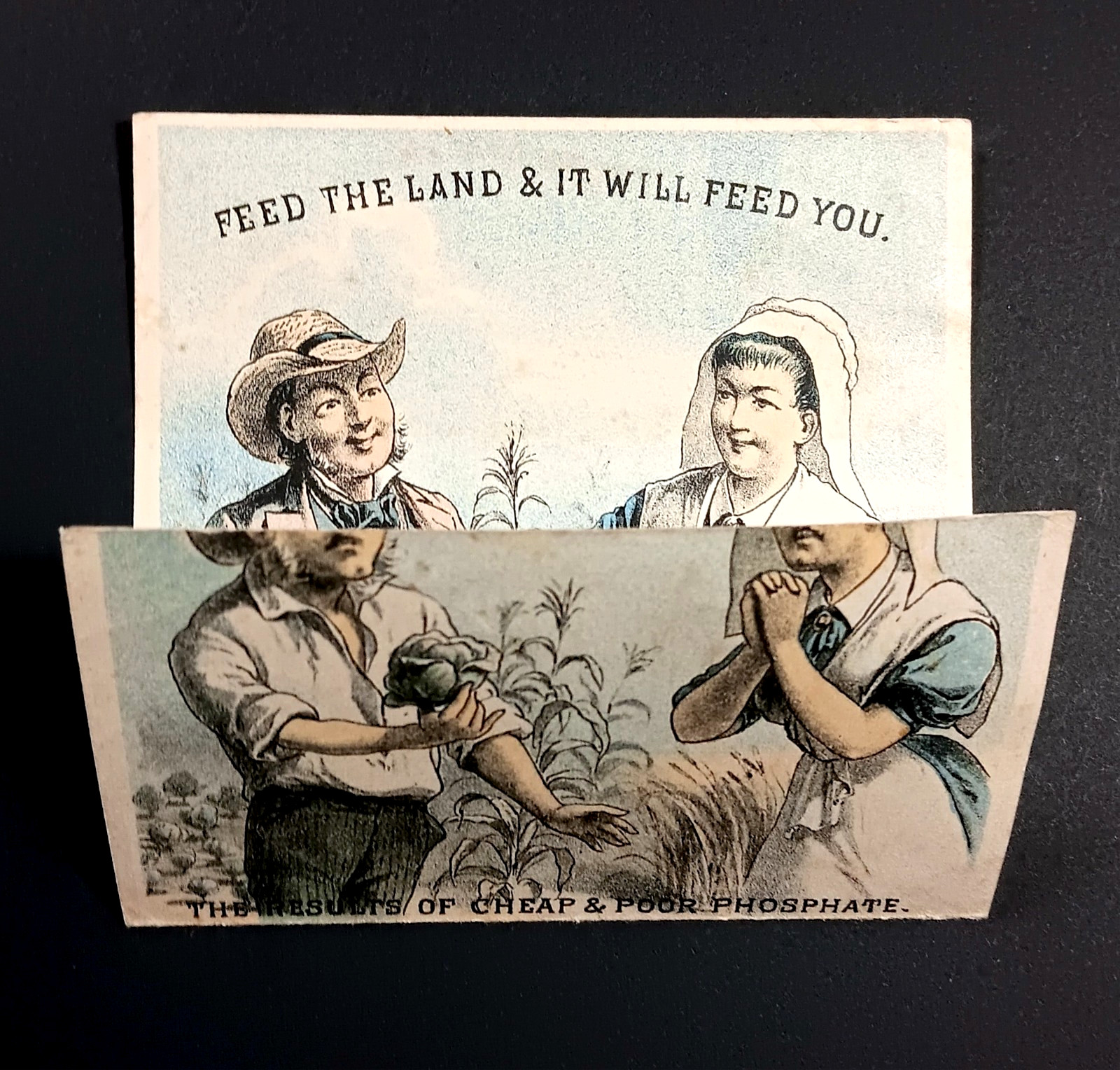 Fantasy Farm Buffalo Bone Fertilizer 1880 Calendar Victorian Trade Card SR.f.fBP