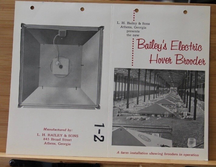 Dealer Brochure L H Bailey Sons Electric Hover Brooder Athens Georgia GA Vintage