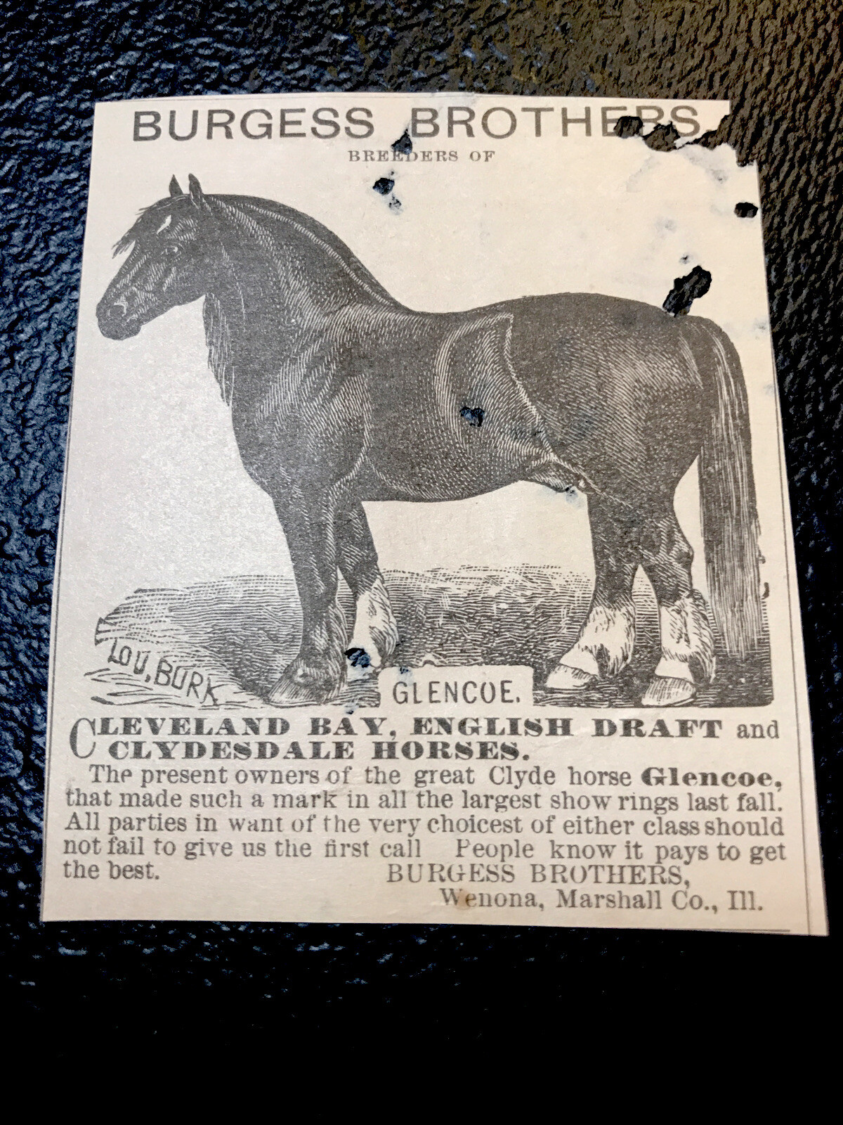 1883 Burgess Brothers Horse Advertising – Wenona- Illinois – Peru