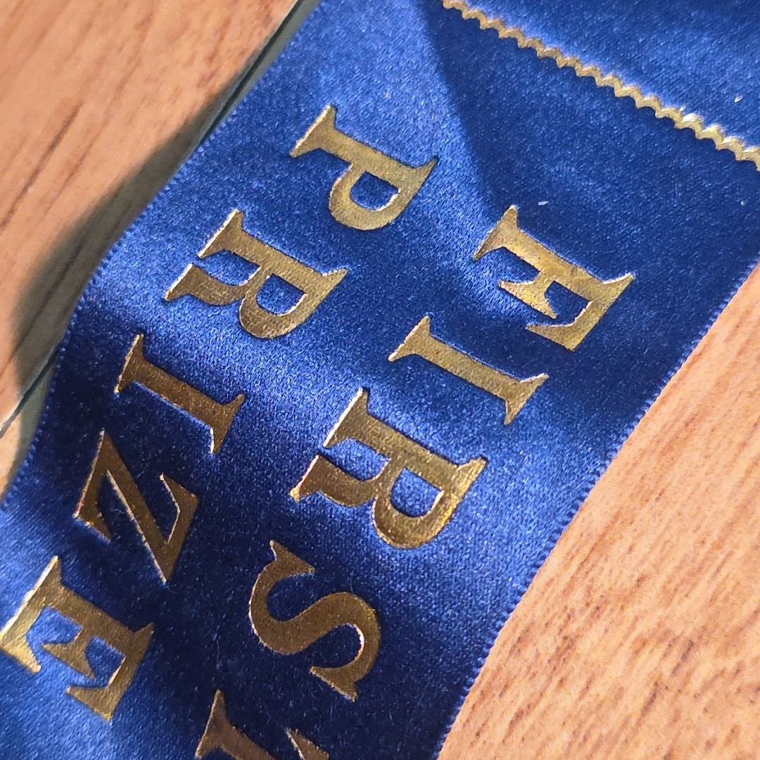 Antique VALLEY FAIR Brattleboro VT AGRICULTURE Celluloid HORSE Ribbon Badge