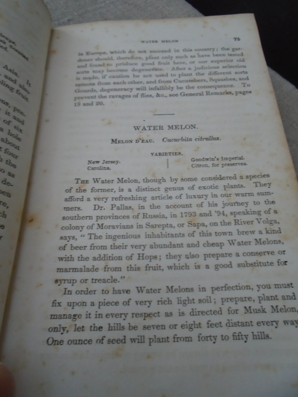 Rare 1857 Seed Catalogue Kitchen Gardner&rsquo;s Instructor Thomas Bridgeman New Ed