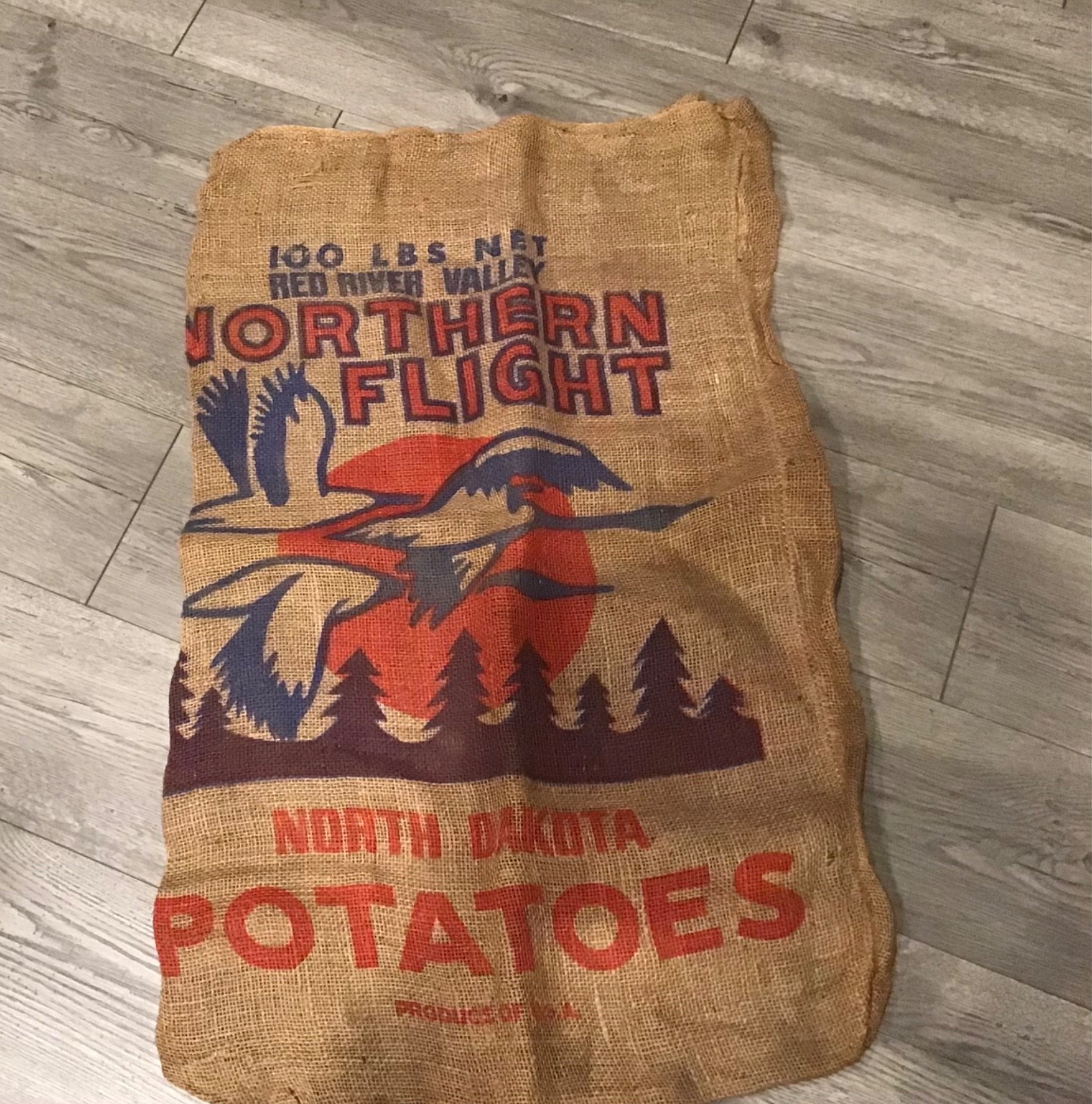 Vintage Northern Flight 100 lbs Potato Burlap Sack, North Dakota Potatoes