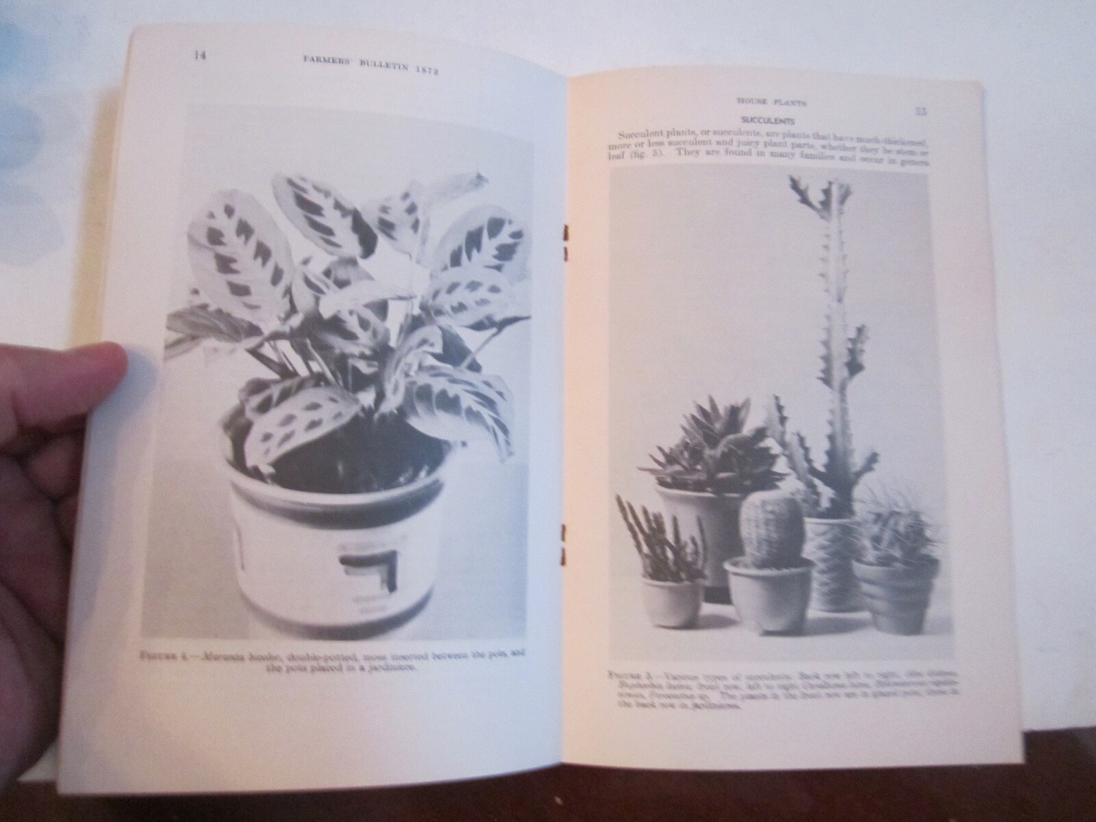 1941 U.S. DEPARTMENT OF AGRICULTURE HOUSE PLANTS BOOKLET – NO. 1872 – CBB