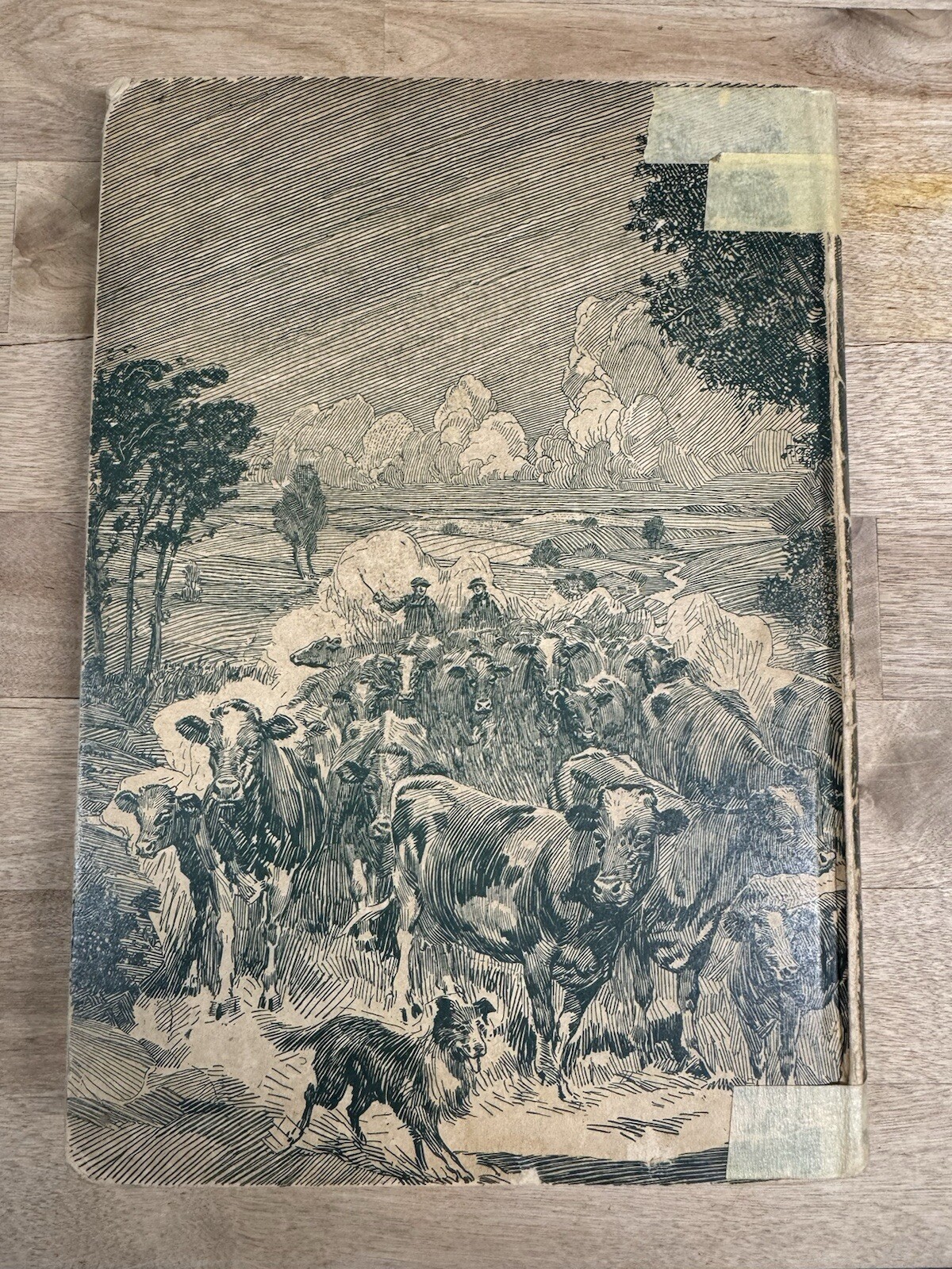 The James Way Catalog No. 31 CW 1921 James Manufacturing Company