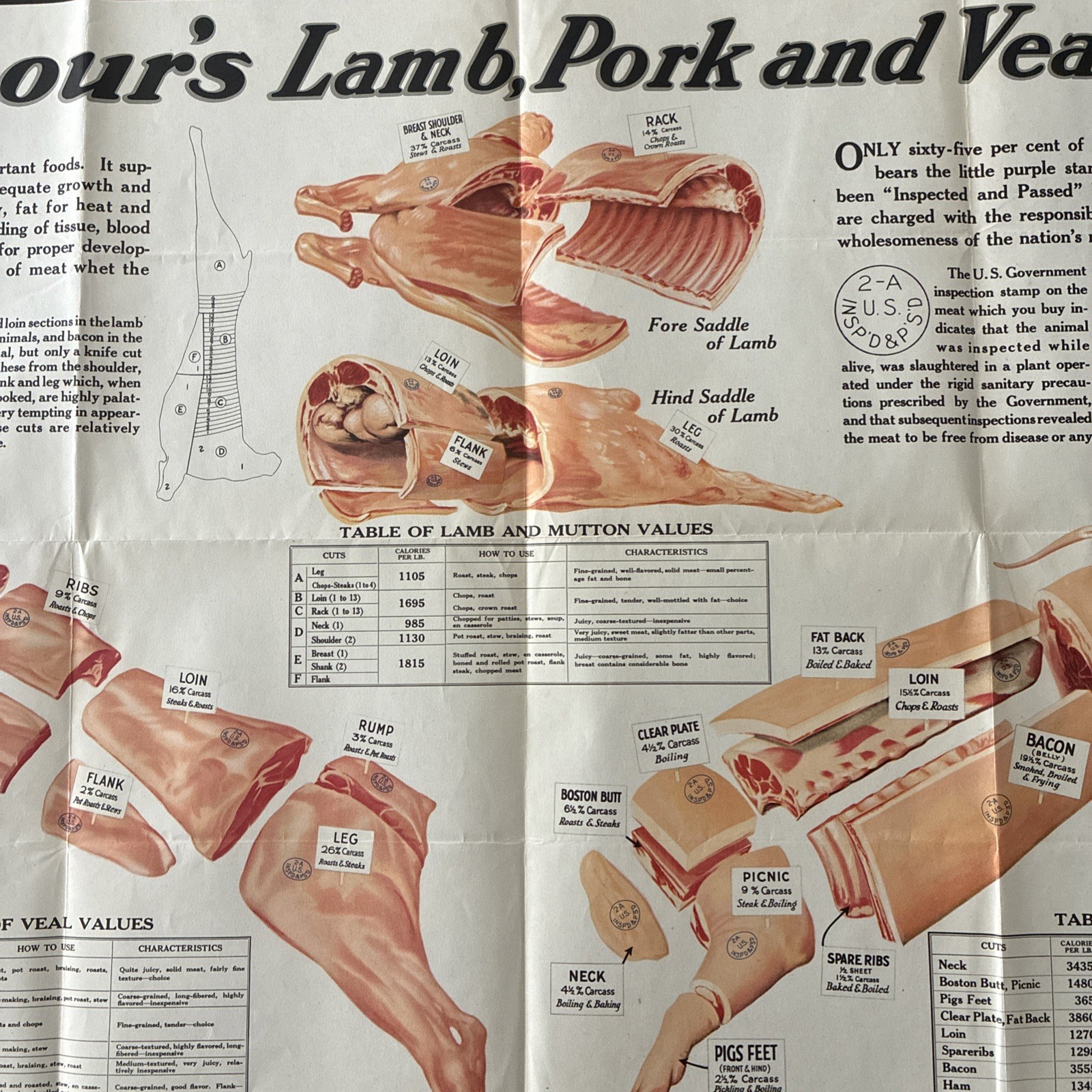 Armour’s Lamb Pork And Veal Cuts Poster 32 1/4 X 21 1/4 Late 40S To Early 50s￼