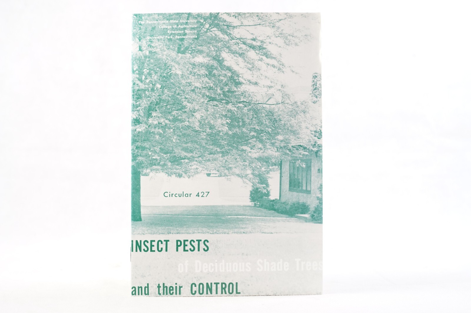 Vintage PA State University Insect Pests Deciduous Shade Trees Agricultural 427