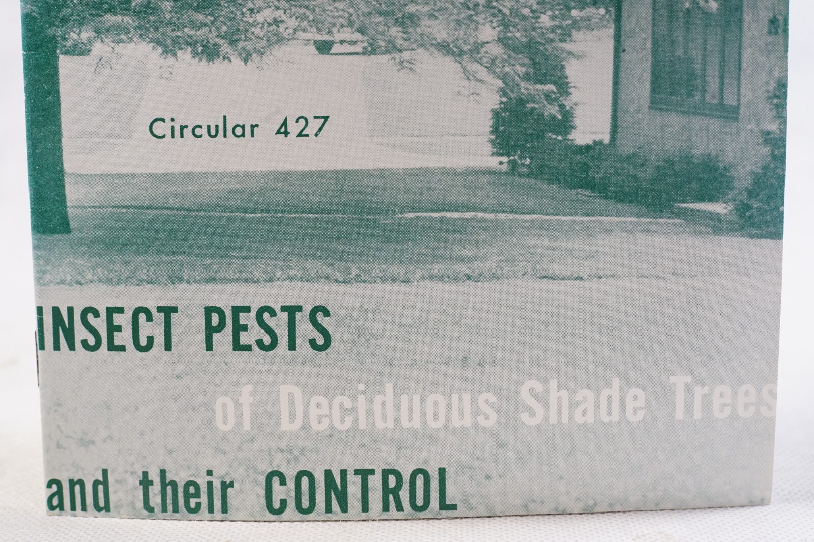 Vintage PA State University Insect Pests Deciduous Shade Trees Agricultural 427