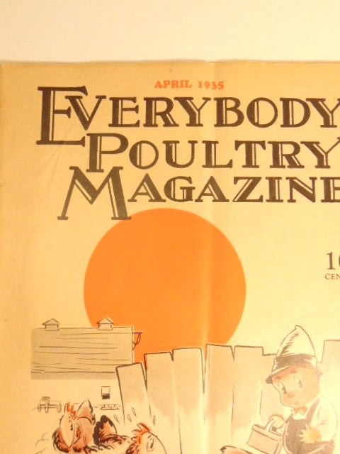 April 1935 Everybodys Poultry Magazine with ads and articles for poutry farmers.