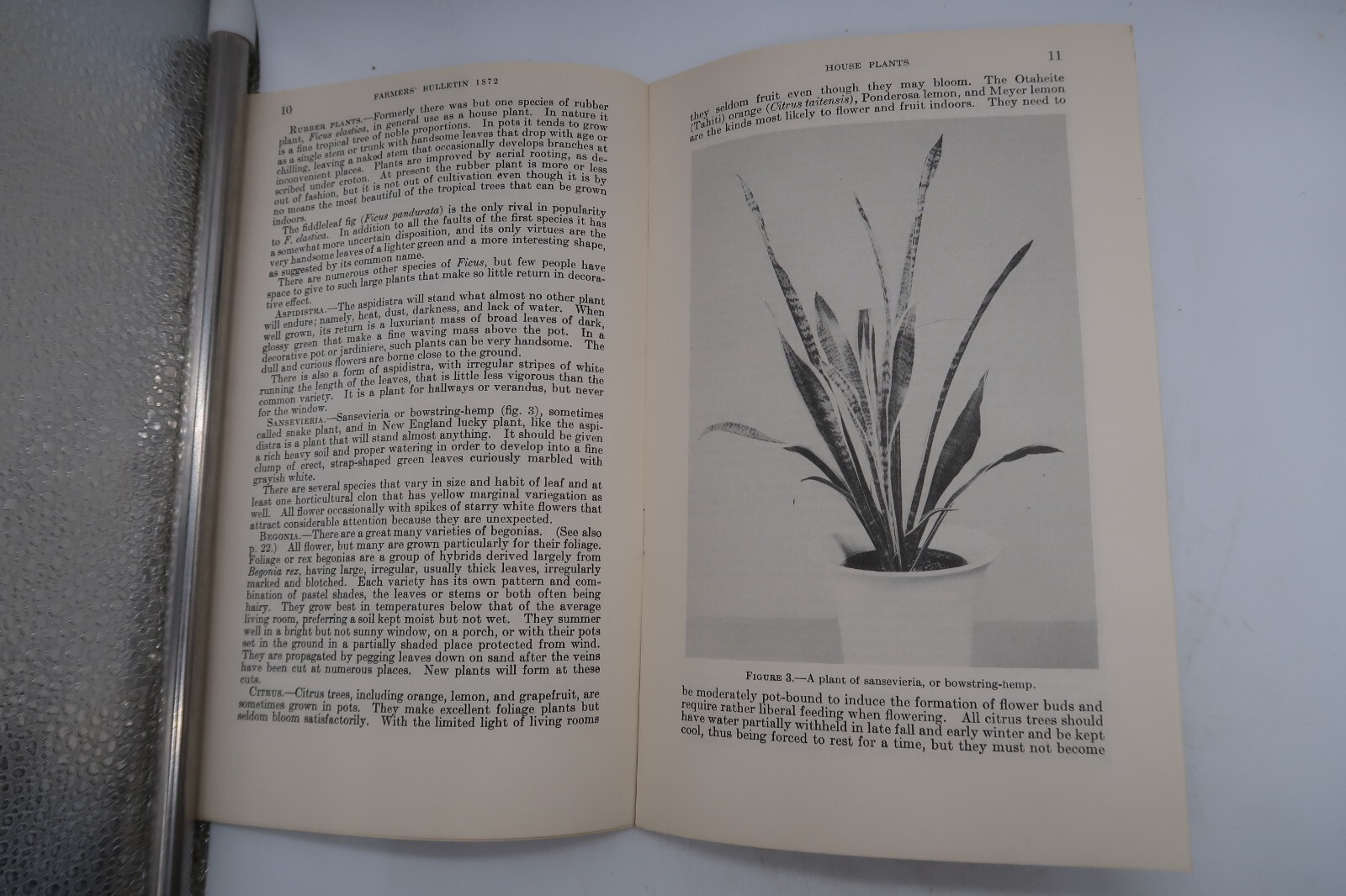 1941 USDA Farmers&rsquo; Bulletin No. 1872 House Plants Ephemera Furman Lloyd Mulford
