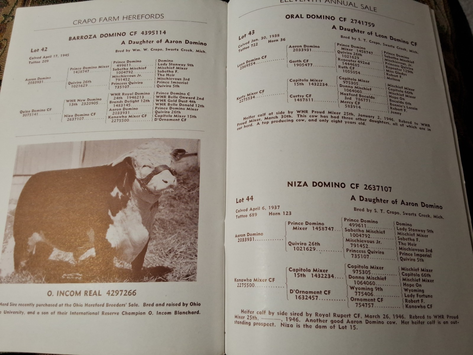 Vintage Crapo Farm Herefords Auction 1946 Sale Catalog Swartz Creek Michigan