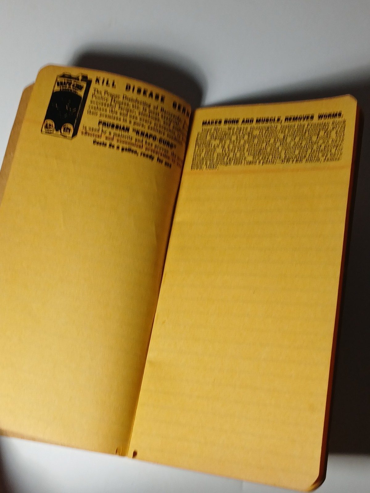 1906 Vintage Farm Ledger Prussian Food Advertising Cow Pig Sheep Horse Graphic