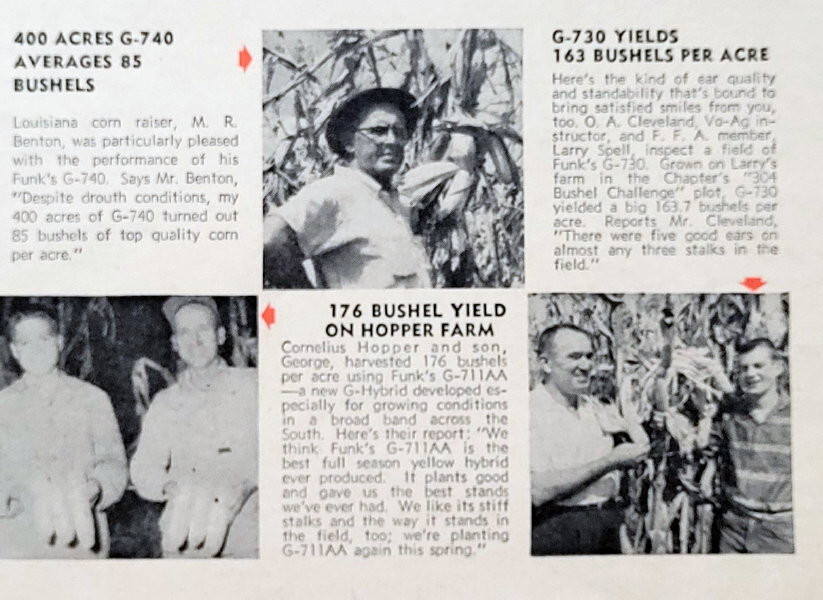 Original 1961 Funk&rsquo;s Seed Ad Features photo of Larry Spell of Louisiana.
