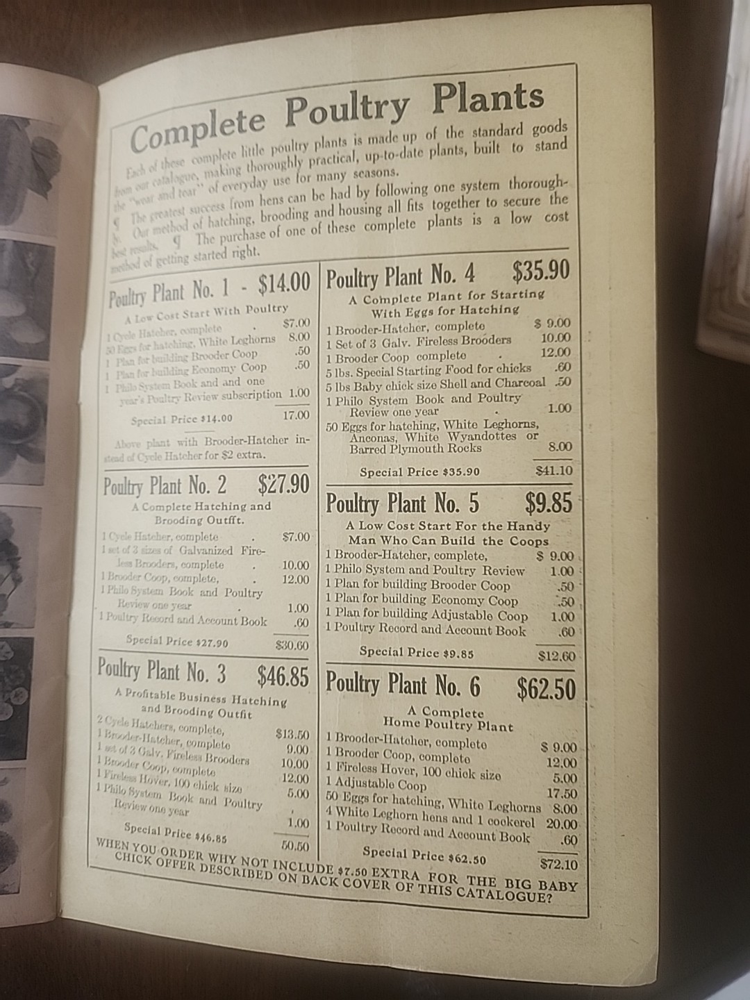 1919 Cycle Hatcher Co. Poultry Catalogue “The Profitable Home Poultry Plant”