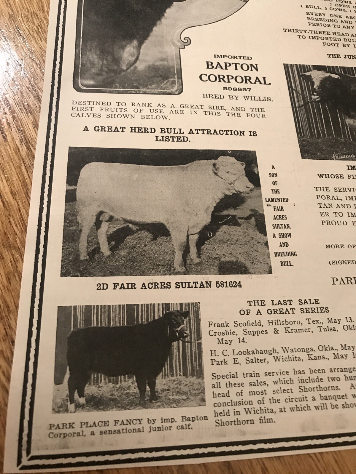 1919 Cattle Livestock Public Sale Poster – Wichita – Kansas – Cow Advertising