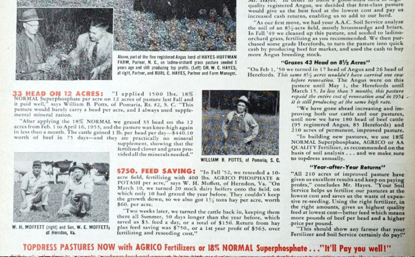 Original 1954 AGRICO Ad Features William Potts of Pomaria South Carolina