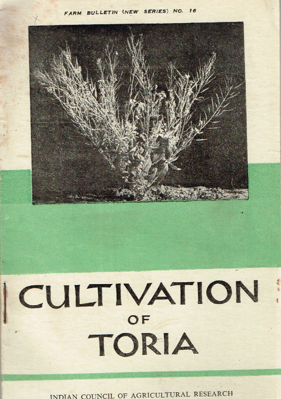 Vintage 1960s Farm Brochure India New Delhi Cultivation of Toria