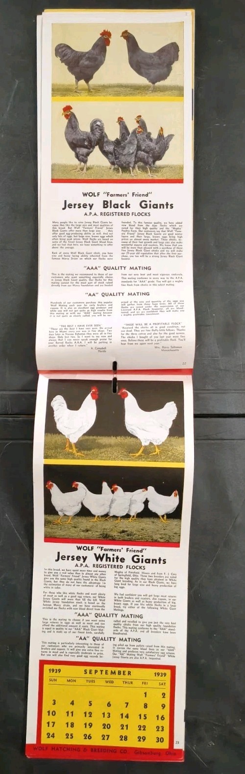 1939 Wolf Baby Chicks Catalog Calendar Sale Brochure Chicken Farming Advertising
