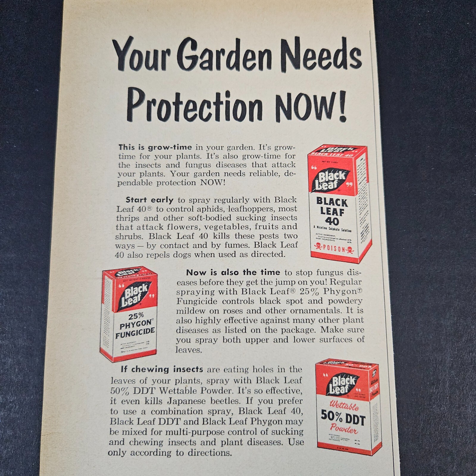 1953 Black Leaf Pest Control Vintage Print Ad Garden Dust DDT Phygon Weed Killer