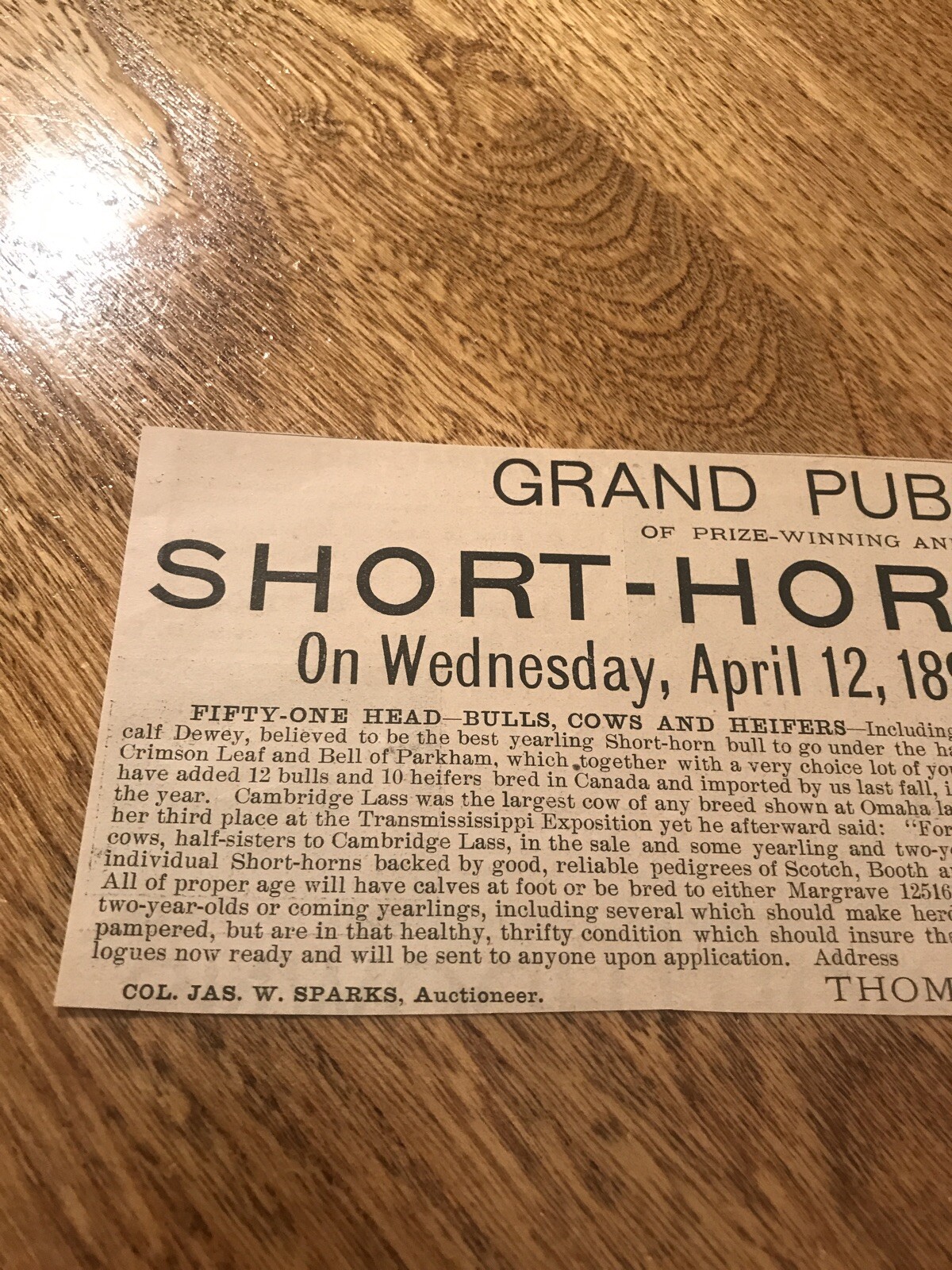1899 Shorthorn Cattle Public Sale – South Omaha – Nebraska – Cow Advertising