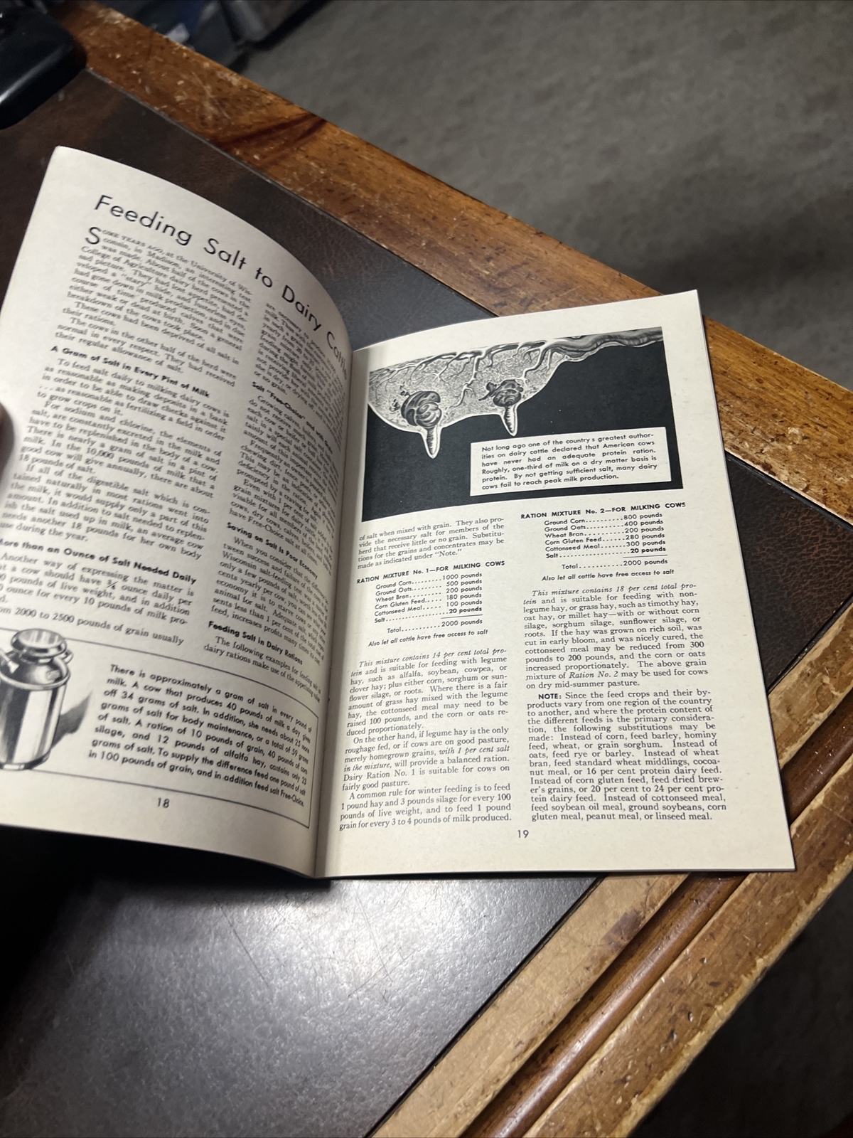 Vintage Morton Salt Co Brochure “Profitable Livestock Feeding”