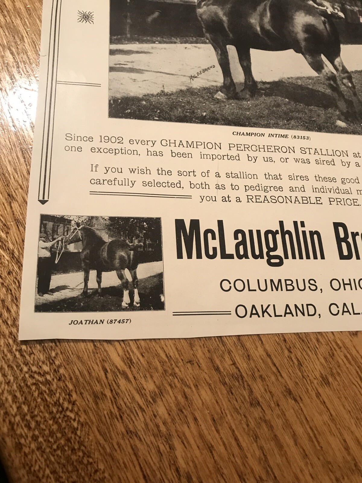 1911 McLaughlin Bros. Horse Advertising – Oakland – California – Columbus – Ohio
