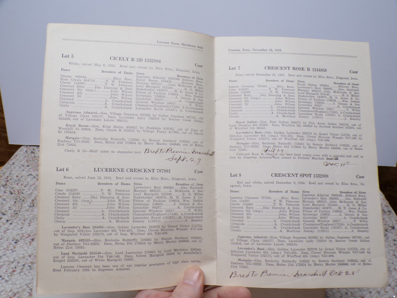 1926 Draft Sale Shorthorns Lucerne Farm Bliss Bros Diagonal Creston Iowa FAMILY?
