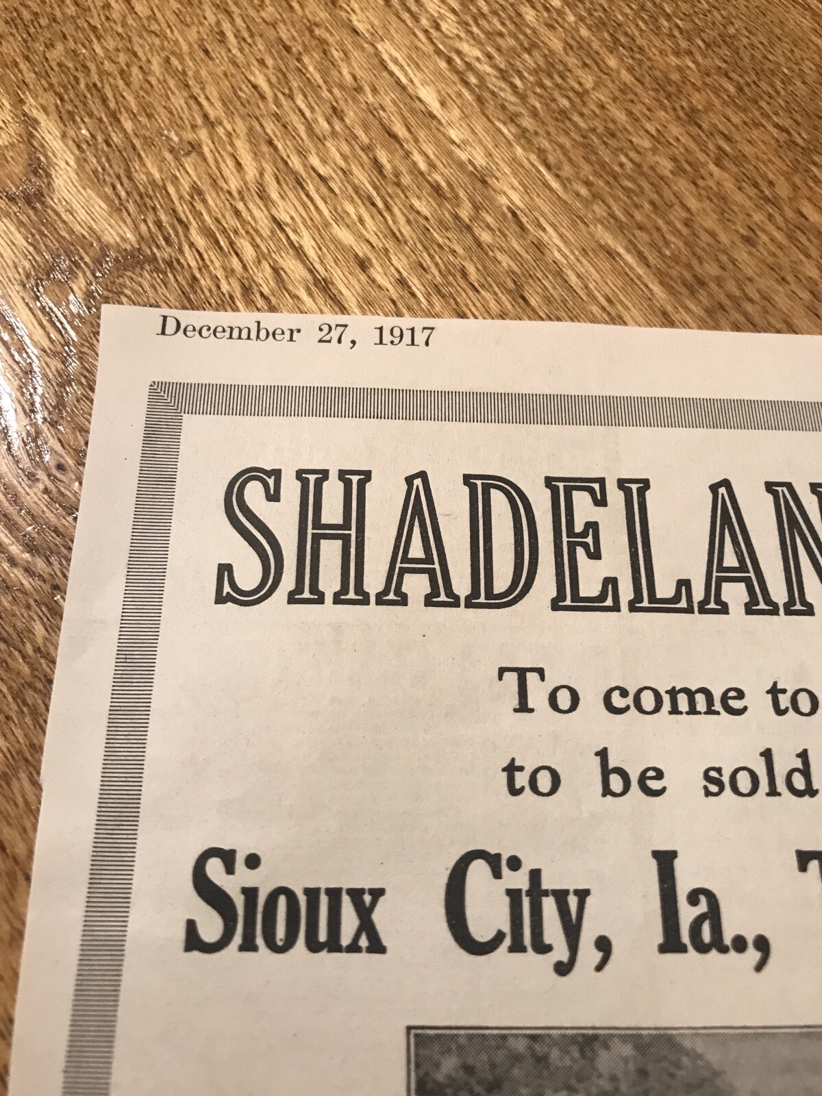 1917 Cattle Livestock Public Sale Poster – Sioux City – Iowa – Cow Advertising