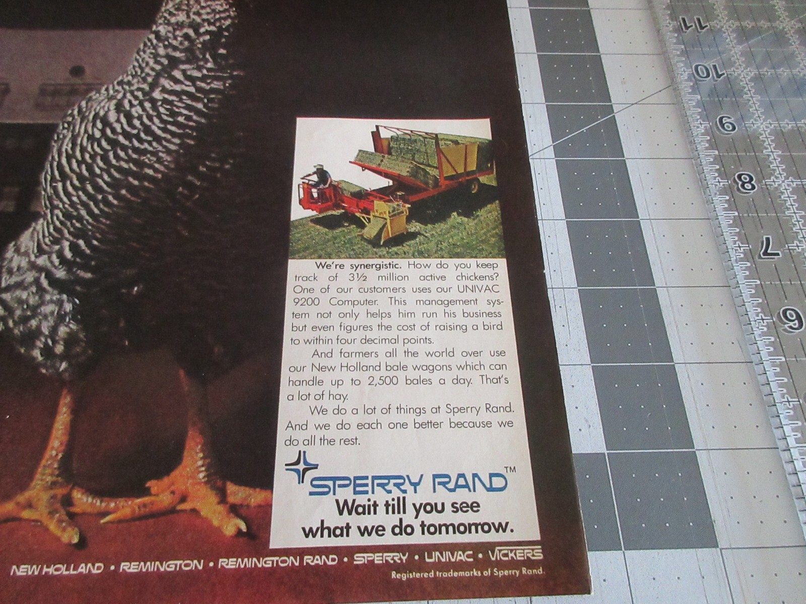 1970 Sperry Rand « One Day We Count Chickens. The Next Day We Make Hay » Print Ad