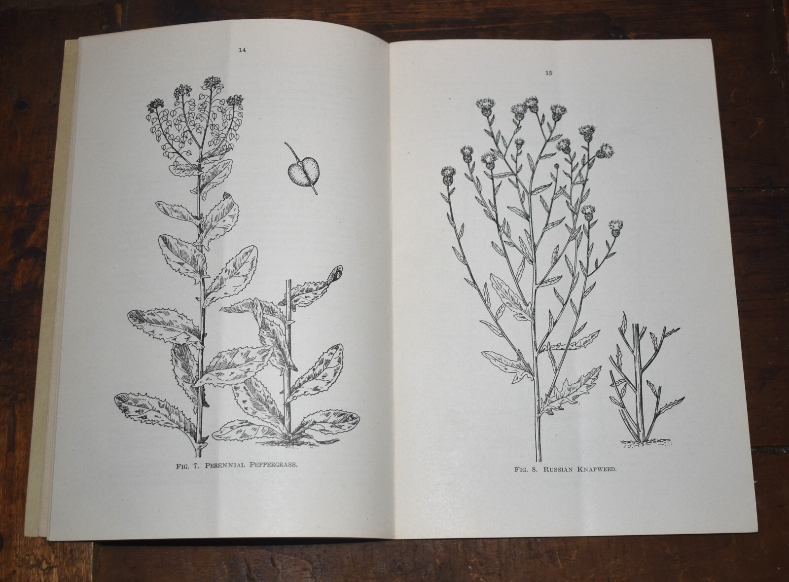 Vintage 1943 Iowa Dept of Agriculture Laws Relating to Noxious Weeds Book