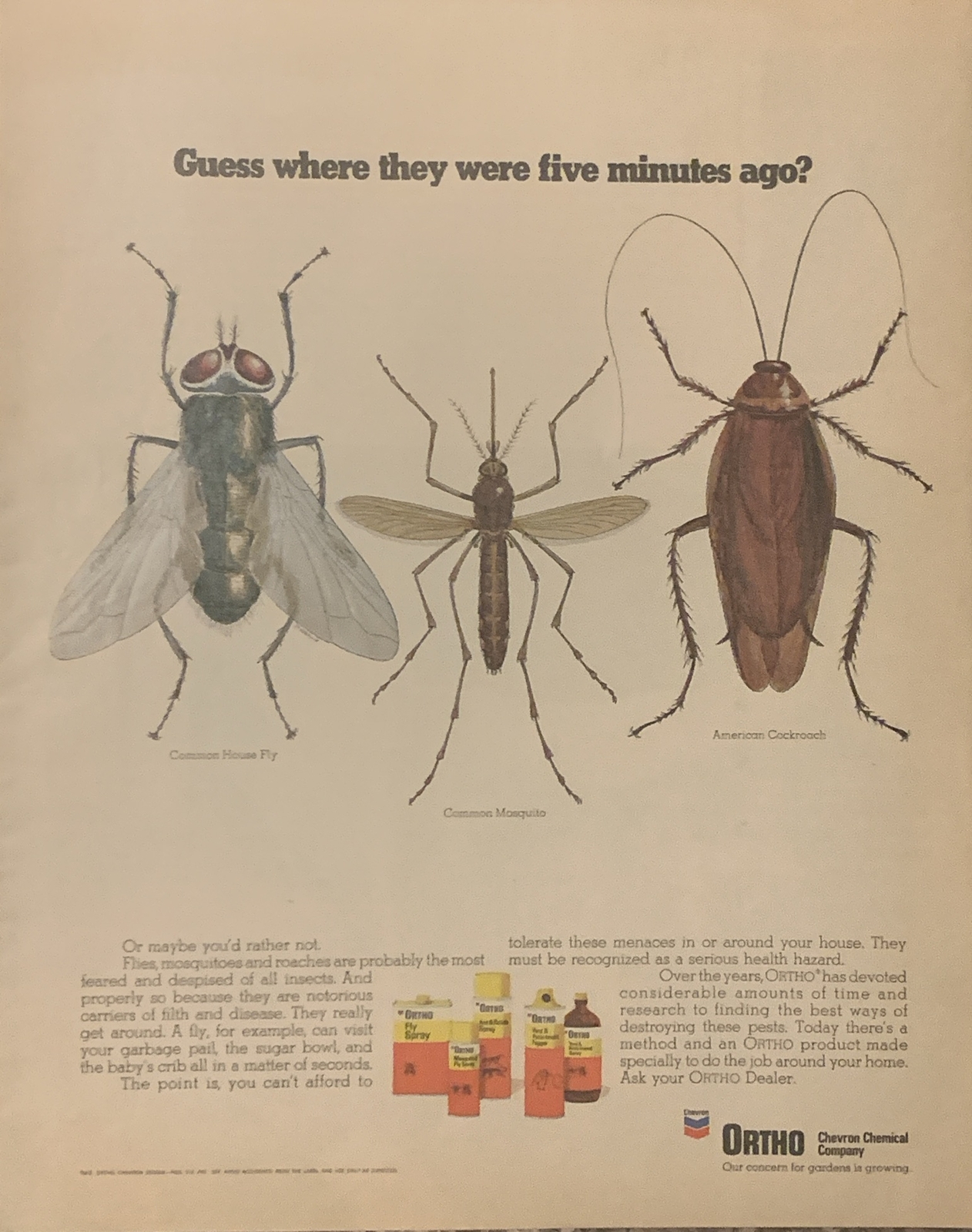 1971 Ortho Pest Control Chemicals PRINT AD House Fly Mosquito Cockroach VTG 70s