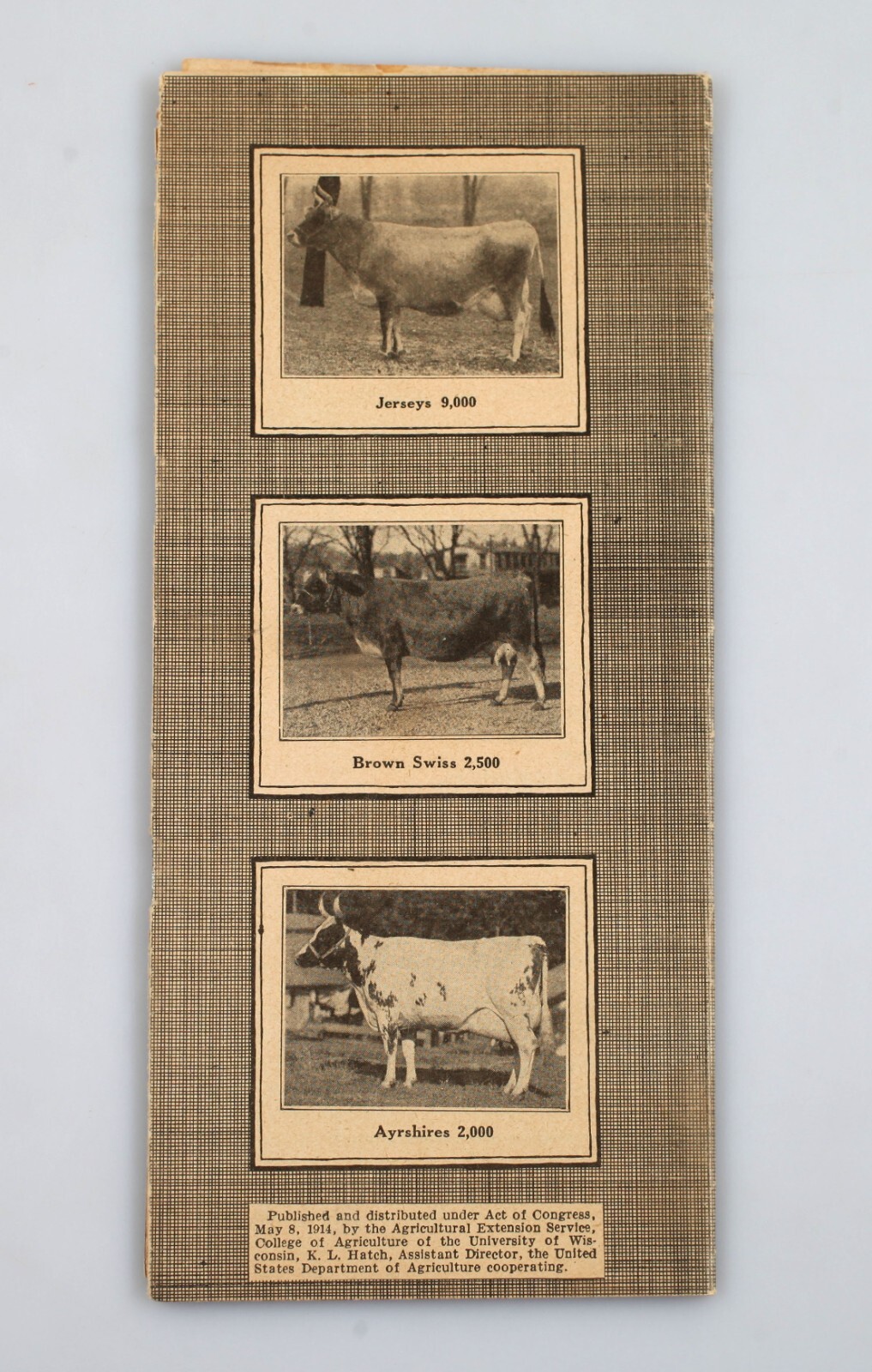 1924 Success With Dairy Cows Booklet Wisconsin College of Agriculture Extension