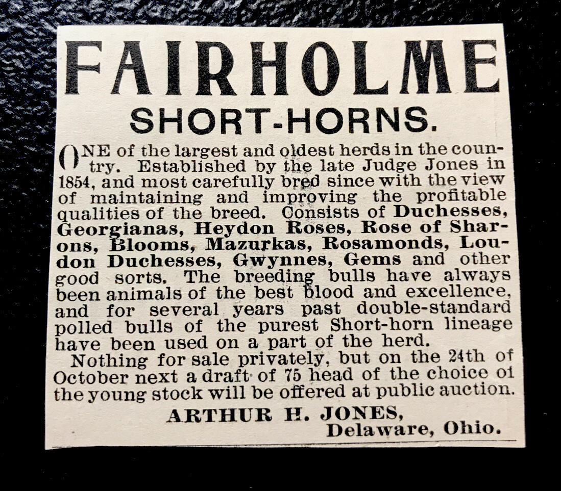 1900 Fairholme Farm Cattle Advertising – Delaware – Ohio – Cow