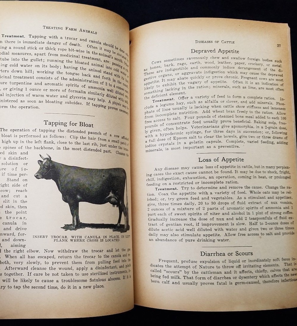 1932 How To Treat Common Ailments Farm Animals Hoard&rsquo;s Dairyman Fort Atkinson WI