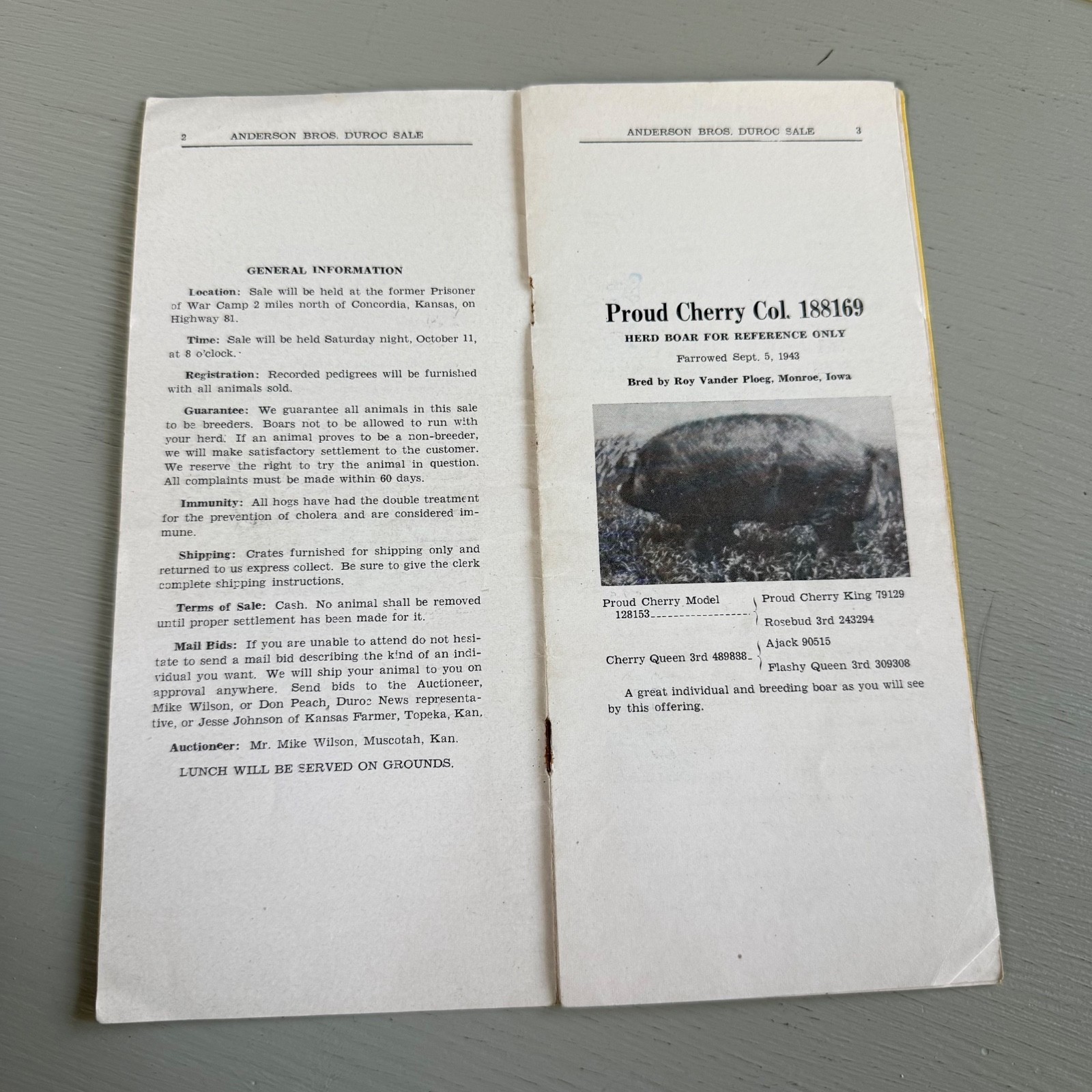 Mixed Lot of 15 Vintage Duroc Pig Hog Auction Sale Brochure Advertising Kansas