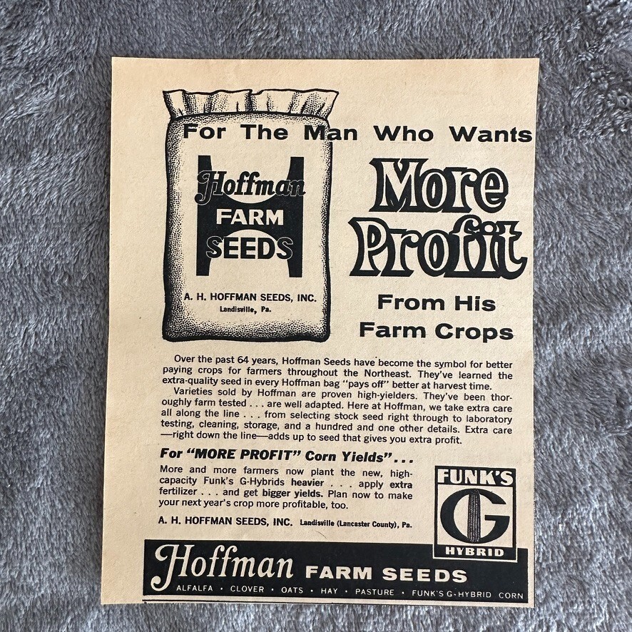 Hoffman Farm Seeds Funks G Hybrid Agriculture Corn Vintage Print Ad 1963