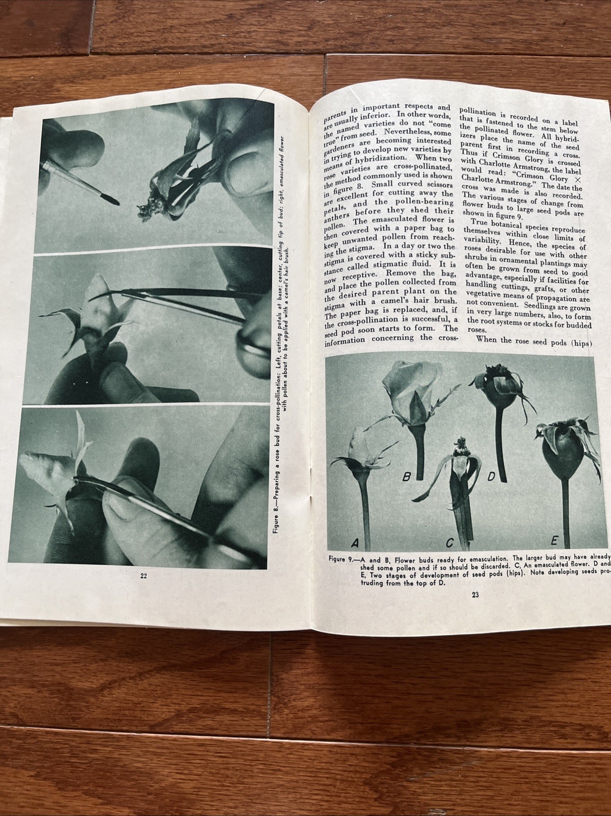 Vintage Rose Agricultural Booklets (1947, 1953)
