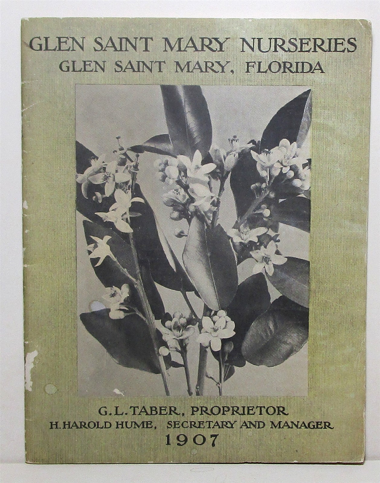 1907 Glen Saint Mary Nurseries catalog, Florida