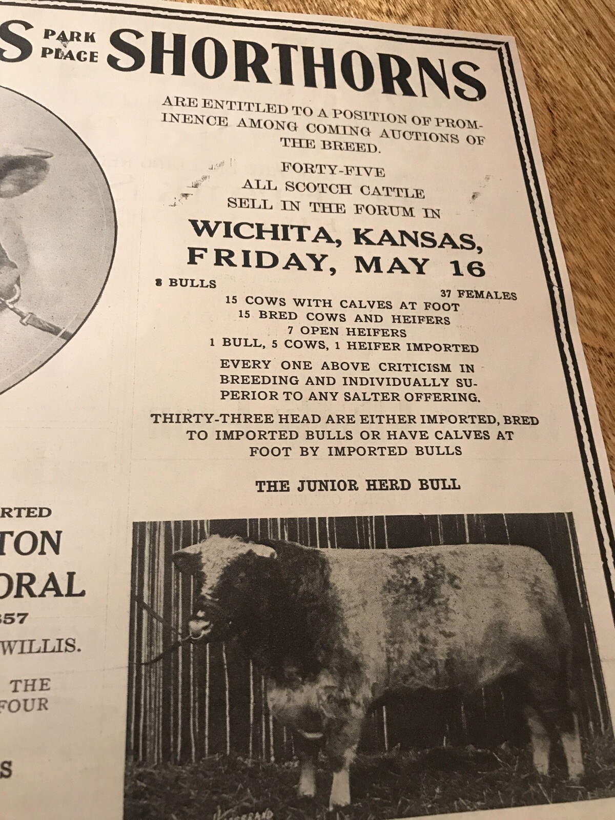 1919 Cattle Livestock Public Sale Poster – Wichita – Kansas – Cow Advertising